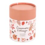 AUTUMN LEAVES CINNAMON & ORANGE CANDLE - Image 4