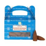 BUDDHA BLESSINGS BACKFLOW DHOOP CONES BY SATYA