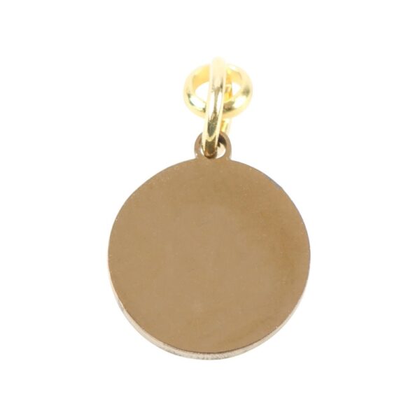 LEO GOLD TONE ZODIAC SIGN CHARM - Image 4