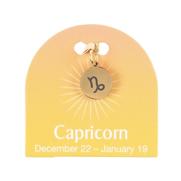 CAPRICORN GOLD TONE ZODIAC SIGN CHARM - Image 2