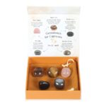 CAPRICORN CRYSTAL TUMBLESTONE SET - Image 2