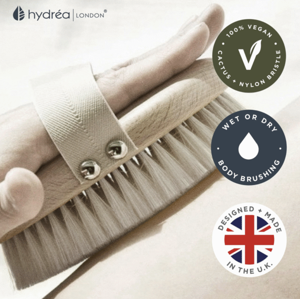 HYDREA LONDON PROFESSIONAL VEGAN DRY BODY BRUSH FSC® CERTIFIED BEECHWOOD – CACTUS & NYLON BRISTLE - Image 3