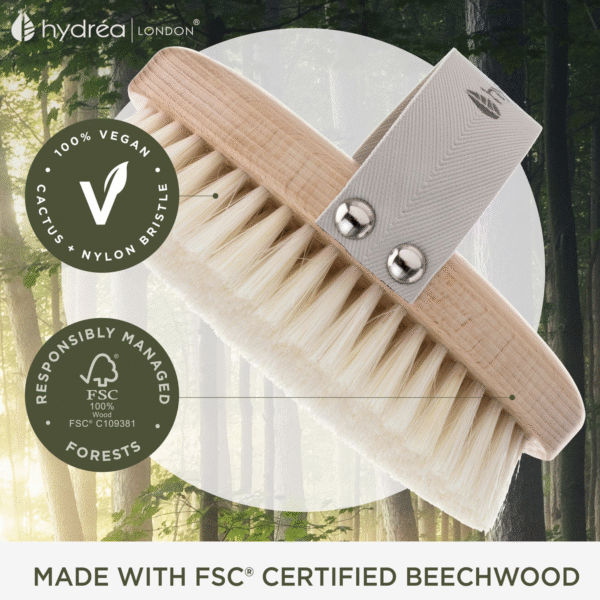 HYDREA LONDON PROFESSIONAL VEGAN DRY BODY BRUSH FSC® CERTIFIED BEECHWOOD – CACTUS & NYLON BRISTLE - Image 4