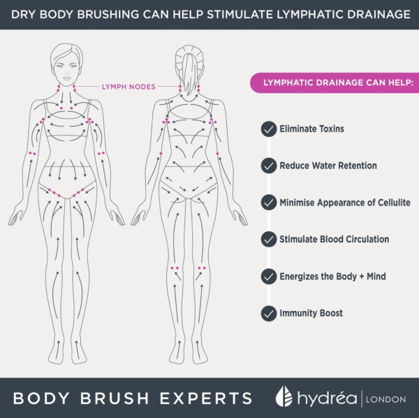 HYDREA LONDON CLASSIC VEGAN DRY BODY BRUSH CACTUS BRISTLE FSC® CERTIFIED BEECHWOOD - Image 5