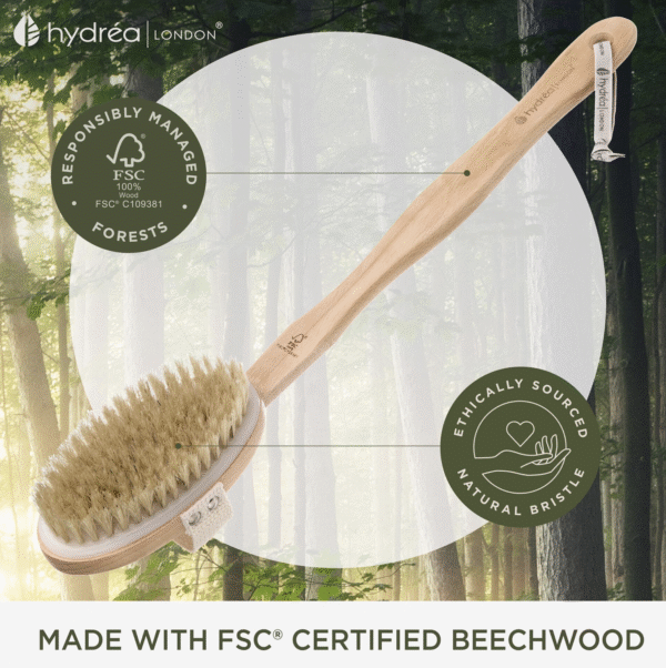 HYDREA LONDON DURABLE BODY BRUSH WITH WATER-PROTECTIVE PLASTIC PLATE – NATURAL BRISTLE & LONG DETACHABLE HANDLE, FSC® CERTIFIED BEECHWOOD - Image 4