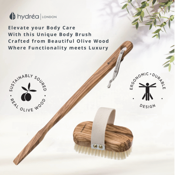 HYDREA LONDON PREMIUM OLIVE WOOD WET & DRY BODY BRUSH WITH LONG DETACHABLE HANDLE + NATURAL BRISTLE - Image 4