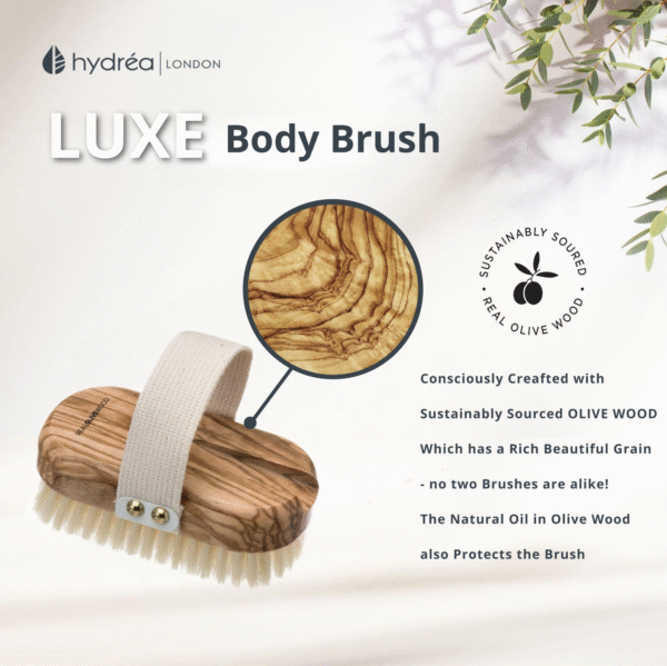 HYDREA LONDON PREMIUM OLIVE WOOD WET & DRY BODY BRUSH WITH LONG DETACHABLE HANDLE + NATURAL BRISTLE - Image 6