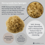 HYDREA LONDON BABY BLISS NEWBORN BATHTIME GIFT SET – SEA SPONGE SET + BAMBOO WASH MITT - Image 3