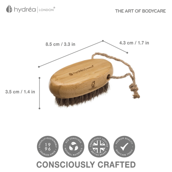 HYDREA LONDON BAMBOO HAND + NAIL BRUSH WITH CACTUS + MANE BRISTLE - Image 5