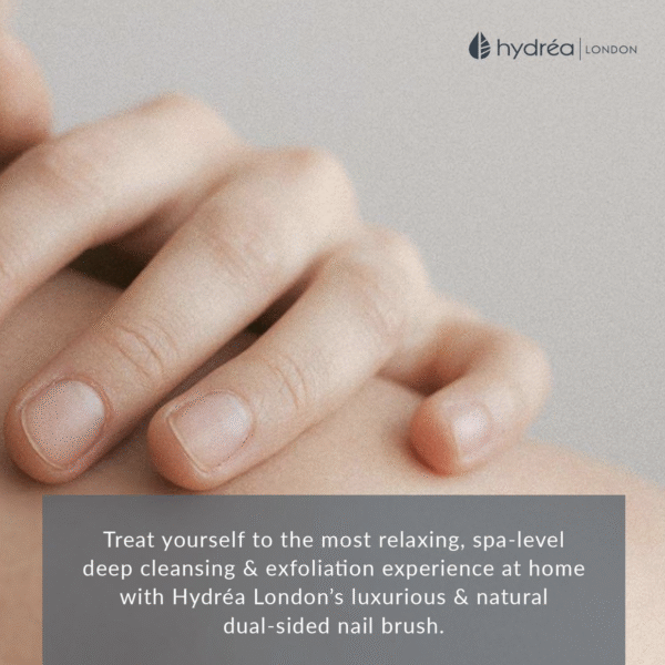HYDREA LONDON LARGE OLIVE WOOD NAIL BRUSH NATURAL BRISTLE - Image 3