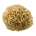 HYDREA LONDON NATURAL HONEYCOMB SEA SPONGE – SIZE 4-4.5″