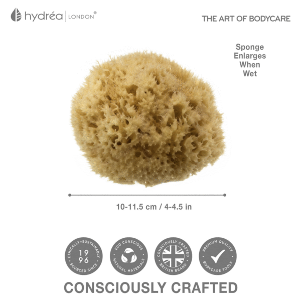 HYDREA LONDON NATURAL HONEYCOMB SEA SPONGE – SIZE 4-4.5″ - Image 3