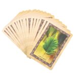CELTIC TREE ORACLE CARDS