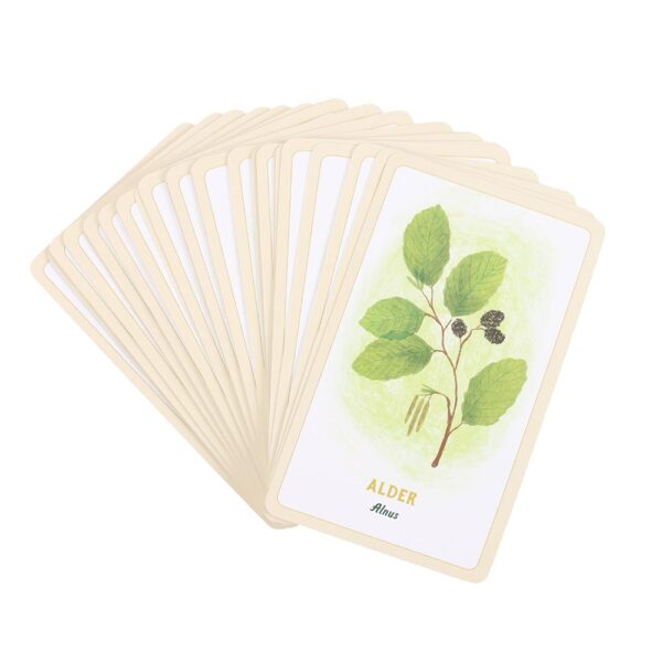 FOREST MAGIC ORACLE CARDS - Image 2