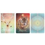 THE SPIRIT ANIMAL ORACLE CARDS - Image 3