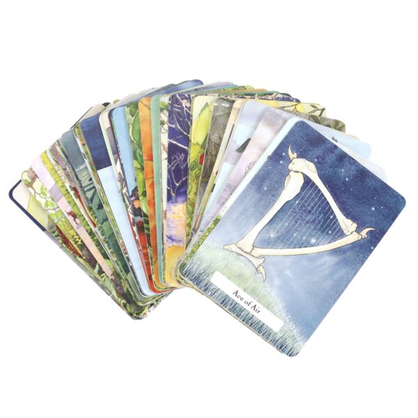 THE WITCHES' WISDOM TAROT CARDS STANDARD EDITION - Image 2