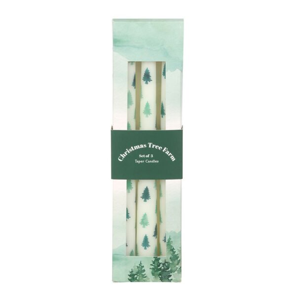 SET OF 3 WHITE FIR TREE TAPER CANDLES - Image 2